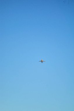 flying plane flies in the sky