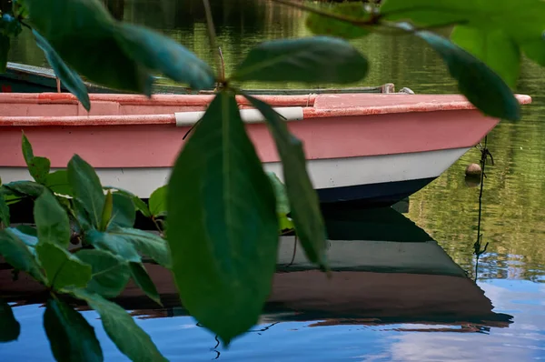 stock image Ro Salado neighborhood with the houses of different colors with the river of green color and the boats of different shapes