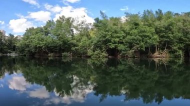 Parktaki nehir