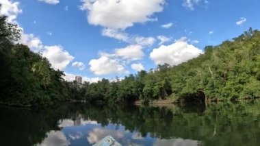 Ormandaki nehrin güzel manzarası