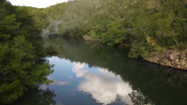 Ormanda gölü olan güzel bir manzara.