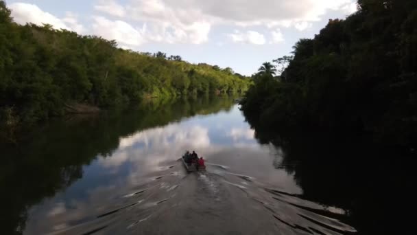 Barco Río Bosque — Vídeo de stock