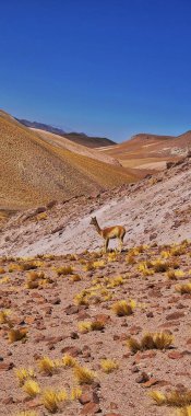 Ischigualasto, San Juan, Arjantin, Valle de la Luna