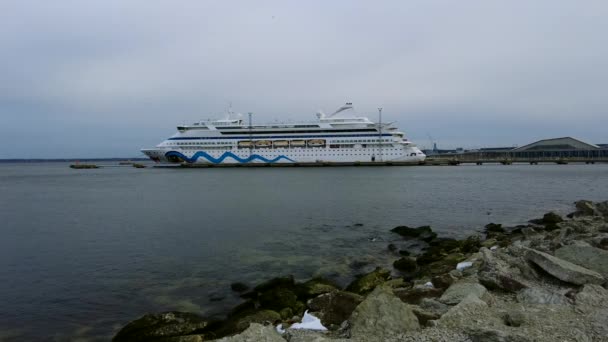爱沙尼亚塔林 2023 Aida Vita号游轮停泊在爱沙尼亚Vanasadam Tallinn港 波罗的海的游轮 旅行时间 — 图库视频影像