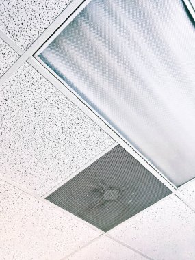 Ceiling Tiles in an Office