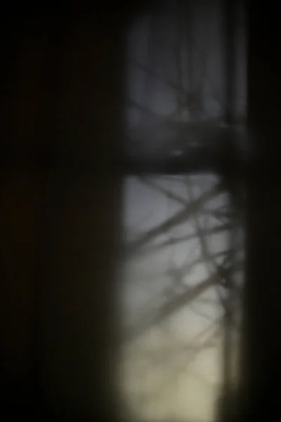 Gece Karanlık Pencere Dışarıdaki Dallarla