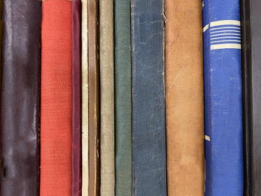 Raftaki düz kitap dikenleri