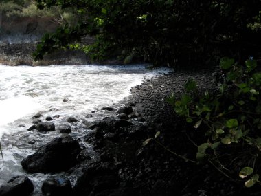 Sahilde karanlık kayalıkları olan tenha bir koy.