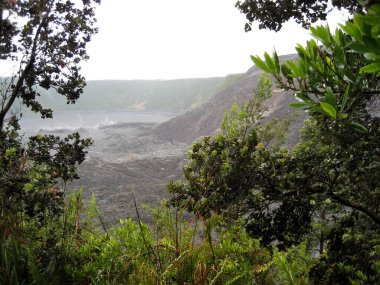 Kilauea Iki krateri ağaçlarla çevrili.