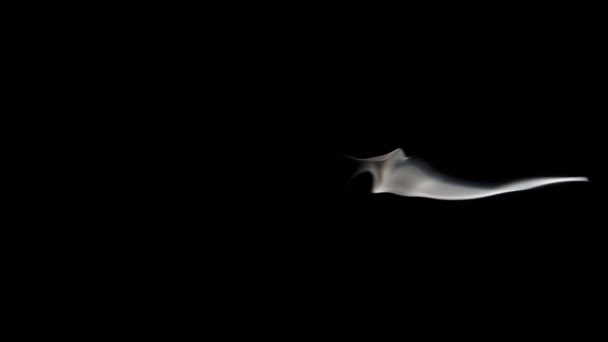 Skutečný Kouř Produkovaný Zhasnutou Sirkou Zpomaleném Filmu 120 Fps Černým — Stock video
