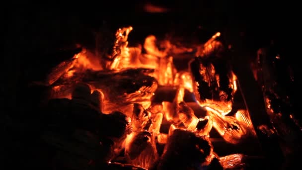 Embers Krplace Bonfire Campfire — Stock video