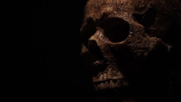 Mumifikovaná Lebka Sotva Svítila Užitečné Pro Prostředí Menu Nebo Otevírání — Stock video