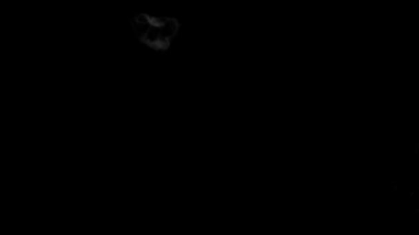 スクリーンモードでブレンドしやすい黒い背景を持ついくつかの本物の煙のリング — ストック動画