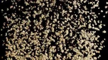 Patlamış mısır ağır çekimde siyah bir arka planla havaya uçar..