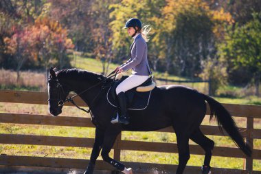 Güzel kız ata biniyor.