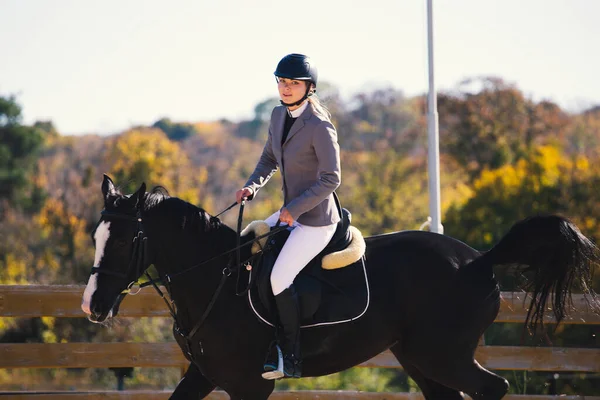 Beauty Girl Engaged Horse Riding — Stock Photo, Image