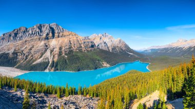 Banff Ulusal Parkı, Alberta, Kanada. Peyto Gölü 'nün büyük bir manzarası. Gündüz saatlerinde manzara. Nehir vadisinde bir göl. Dağlar ve orman. Doğal manzara..