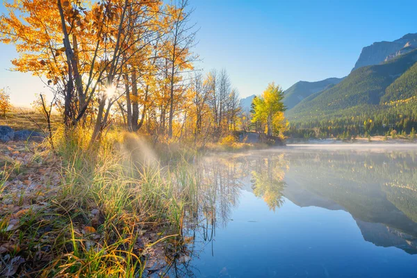 日の出の間の風景 川の銀行の秋の木 木漏れ日 山と森 夜明けの間に鮮やかな色 自然の風景 カナダのアルバータ州バンフ国立公園 ロイヤリティフリーのストック写真