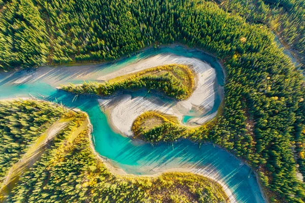 Θέα Επανδρωμένου Αεροσκάφους Του Ποταμού Στο Δάσος Αεροφωτογραφία Ενός Φθινοπωρινού — Φωτογραφία Αρχείου
