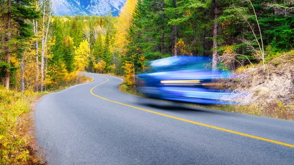 The road through the forest. Fast car. Transportation. Asphalt road and turns between trees. The forest background. Composition in the fall. Photo for wallpaper.