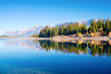 Gündüz vakti dağ manzarası. Dağ vadisindeki göl ve orman. Mavi gökyüzü olan doğal manzara. Gölün yüzeyindeki yansımalar. Banff Ulusal Parkı, Alberta, Kanada. 