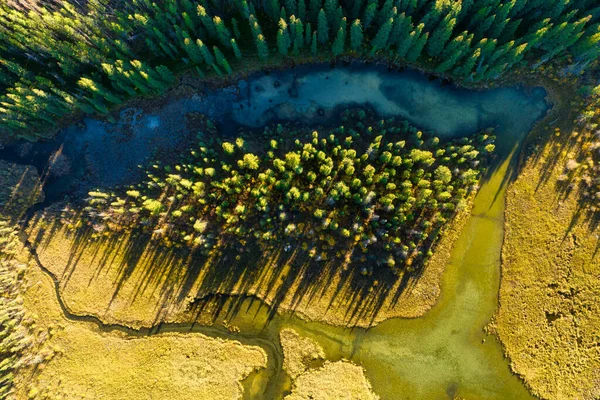 Sebuah Pesawat Tak Berawak Melihat Sungai Hutan Pemandangan Udara Dari — Stok Foto