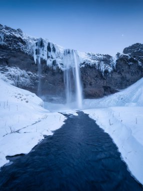 Seljalandsfoss Şelalesi, İzlanda. İzlanda kış manzarası. Yüksek şelale ve kayalar. Kar ve buz. Uçurumdan güçlü bir su akıntısı. İzlanda 'da seyahat etmek için popüler bir yer.