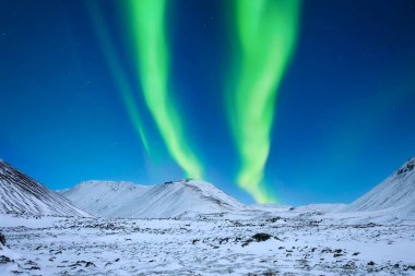 Aurora Borealis. Kuzey Işıkları. Lofoten Adaları, Norveç. Kış zamanı manzara. Kuzey ışıklarıyla gökyüzü arka planı. Aurora borealis. Arka plan olarak kuzey ışıkları. Aurora ile gece kışı manzarası.