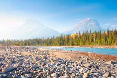 Sabahları dağ manzarası. Dağ vadisindeki taşlarla ve ormanlarla dolu bir nehir kıyısı. Mavi gökyüzü ve güneş ışığıyla doğal manzara. Duvar kağıdı. Alberta, Kanada. 