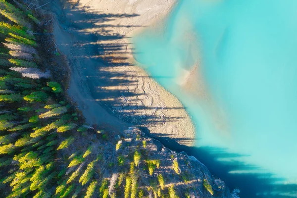 Pohled Jezero Les Ledovcovém Údolí Pohled Morény Krajina Vzduchu Řeka — Stock fotografie