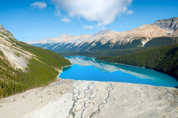 Nature. Aerial view. Landscape during daylight hours. A lake in a river valley. Mountains and forest. Peyto lake, Banff National Park, Alberta, Canada. Natural landscape.