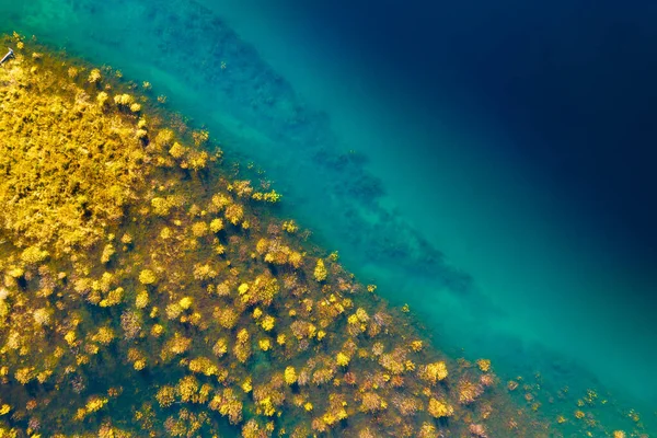 Drone View River Aerial View Autumn Field Pond Meadows Turquoise — Stock fotografie