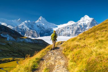 A mountain hiker with a backpack against the backdrop of a mountain panorama. Mountain hiking in the high mountains. Travel and adventure. Active life. Landscape in the summertime. 