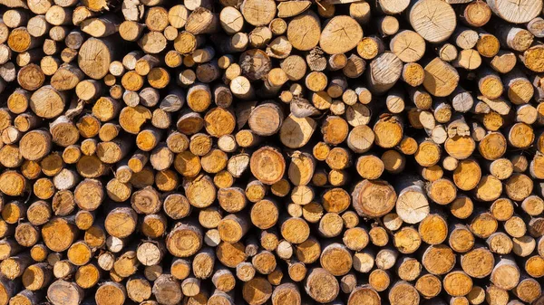 Logs Background Texture Natural Wood Large Resolution Photo Design — Stock Photo, Image