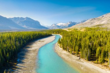 A drone view of the river in the mountains valley. An aerial view of an autumn forest. Winding river among the trees. Turquoise mountain water. Landscape with soft light before sunset.  clipart