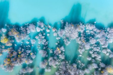Aerial view. Birch forest in turquoise water. Lake and tree. Natural scenery in fall time. Mountain lake and trees. Photo for background and wallpaper.
