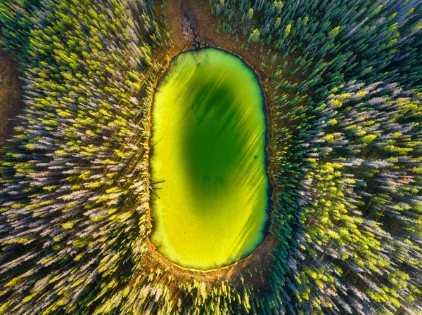 Drone View Lake Woods Aerial View Autumn Forest Pond Trees — Stock Photo, Image