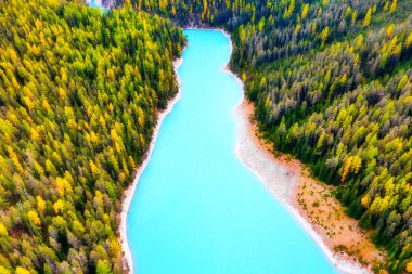 Natural landscape from air. Aerial view on the lake and forest at the autumn time. Forest and lake. Photo for background and wallpaper.