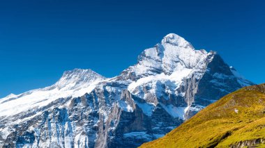 Yüksek bir dağ bölgesindeki manzara. Dağların tepesinde yüksek kayalar ve kar var. Dağların yamaçlarında bir tarla.