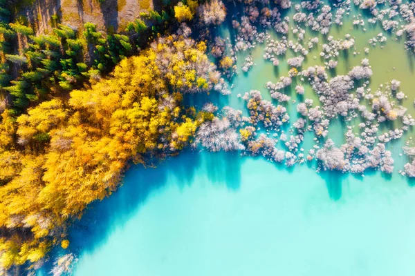 มมองทางอากาศ าเบ ชในน าเทอร ควอยส ทะเลสาบและต นไม ธรรมชาต ในฤด ใบไม — ภาพถ่ายสต็อก
