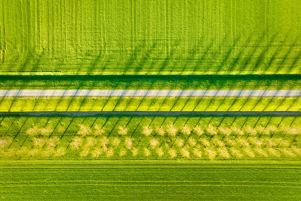 Pemandangan Udara Lapangan Pohon Dan Jalan Lanskap Dari Drone Cahaya — Stok Foto