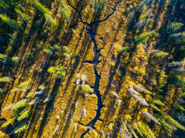森の中の川のドローンビュー 秋の森の空中風景 木々の間に巻き川 ターコイズ山の水 日没前に柔らかい光と風景 カナダのアルバータ州 — ストック写真