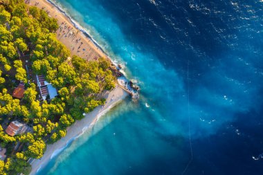 Sahildeki havayı seyret. Hava görüntüsü. Kumsalda dinlen. Deniz rahatlaması ve seyahat. Deniz kenarındaki orman. Denizde gök mavisi su. Yaz tatili boyunca güneşli bir gün.. 