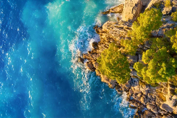 View Air Waves Rocks Sea Relaxation Travel Forest Sea Azure — Stock Photo, Image