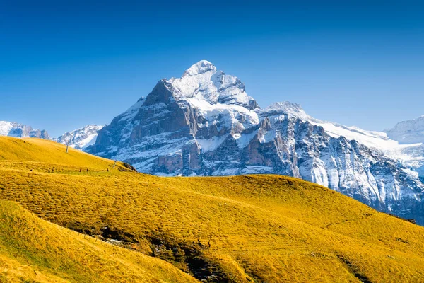 Berglandschap Zomer Een Plek Voor Bergwandelingen Met Een Prachtig Uitzicht — Stockfoto