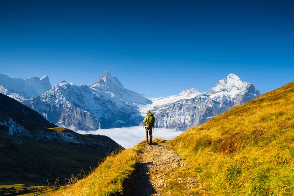 Berglandschaft Sommer Ein Ort Zum Bergwandern Mit Einer Schönen Aussicht — Stockfoto