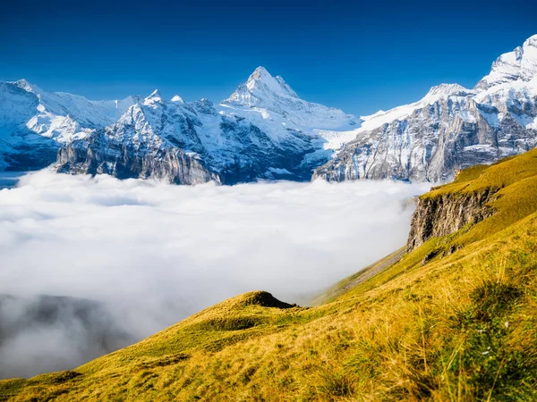 夏天的山景 一个风景秀丽的登山胜地 欧洲的山脉和风景 白天的风景 山谷中的云彩 — 图库照片