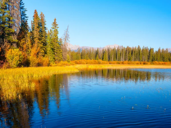 秋天的风景 山区和森林 水面上的反光 白天的风景 河谷中的一个湖泊 自然景观 — 图库照片