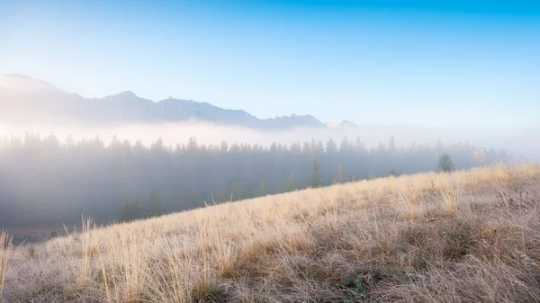 Foggy Landscape Morning Sunbeams Valley Forest Field Mountain Valley Dawn — Stock Photo, Image