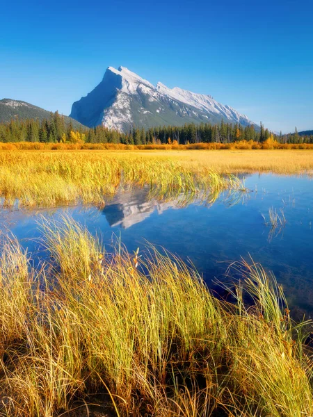 Vermilion湖 白天的风景 河谷中的一个湖泊 在水里的草 秋天的风景 山区和森林 自然景观 加拿大艾伯塔省班夫国家公园 — 图库照片